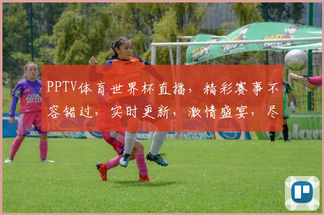 PPTV体育世界杯直播，精彩赛事不容错过，实时更新，激情盛宴，尽在掌握