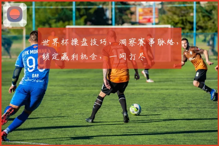 世界杯操盘技巧，洞察赛事脉络，锁定赢利机会，一网打尽