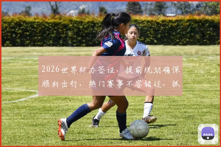 2026世界杯办签证，提前规划确保顺利出行，热门赛事不容错过，抓紧时间办理