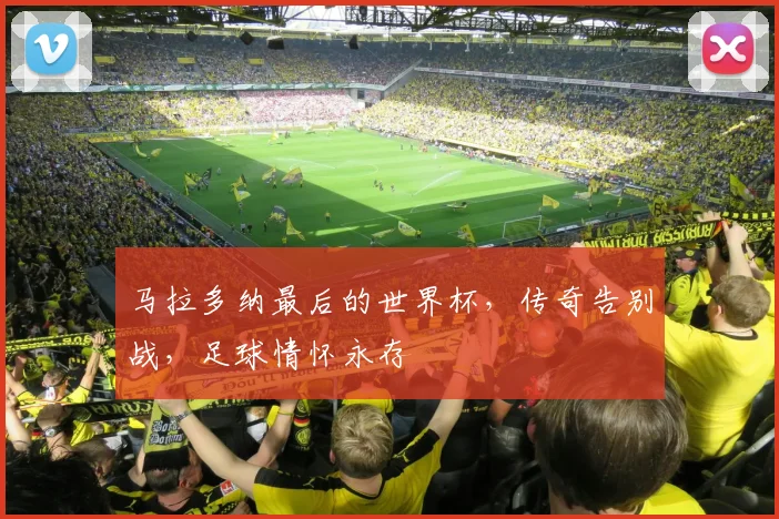 马拉多纳最后的世界杯，传奇告别战，足球情怀永存